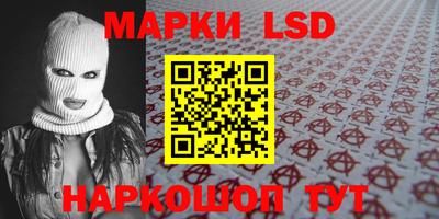 стаф Сланцы
