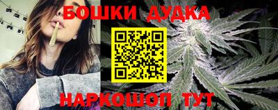 стаф Сланцы