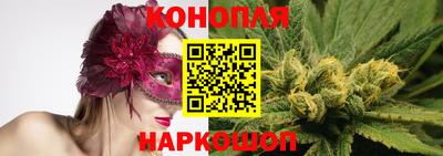 гидра Славянск-на-Кубани