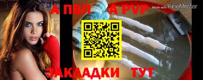 a pvp Славгород