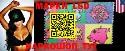 a pvp Славгород