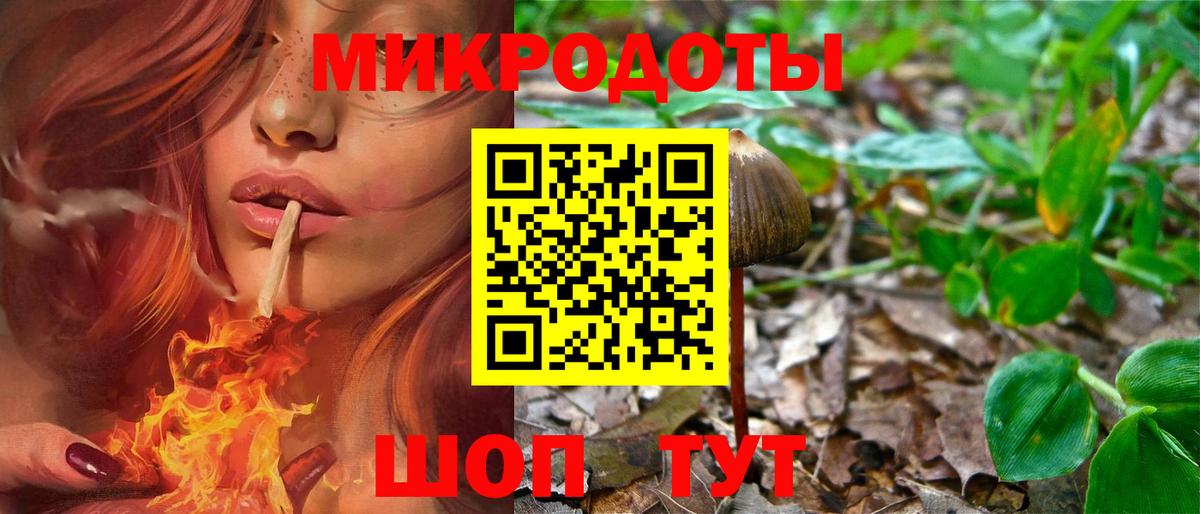 Псилоцибиновые грибы мицелий Приморско-Ахтарск
