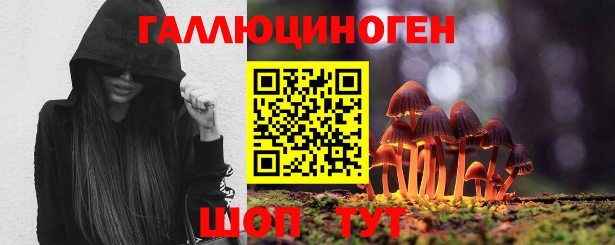 Галлюциногенные грибы Psilocybine cubensis  Вход с VPN  Псилоцибиновые грибы MAGIC MUSHROOMS  Приморско-Ахтарск 